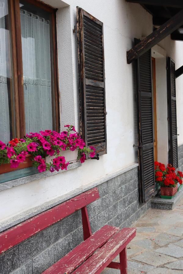 Gabry Guest House Bruno 外观 照片