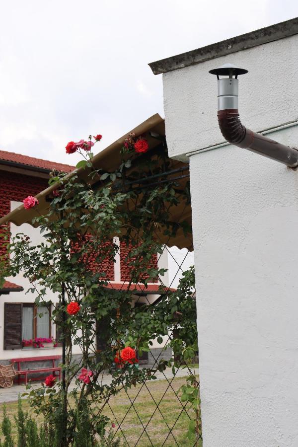 Gabry Guest House Bruno 外观 照片